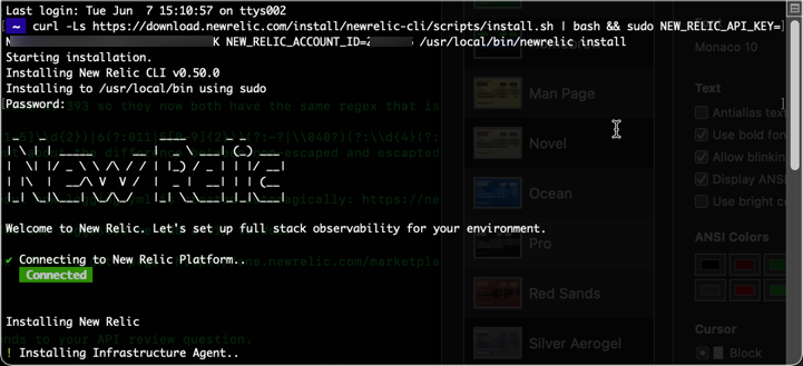 A screenshot of the guided install CLI.